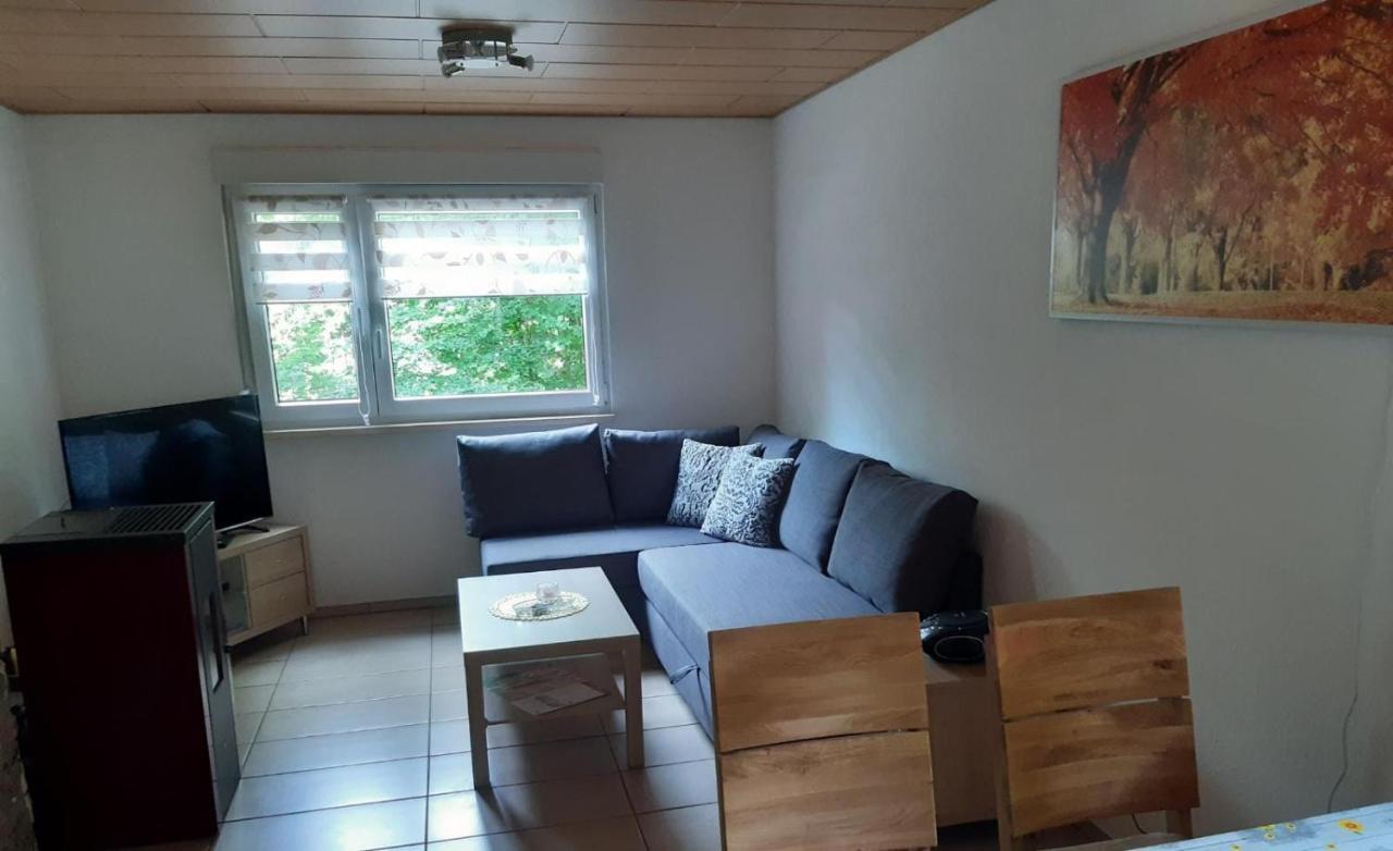 Feriendorf "Am Forsthaus" Mosbach Mosbach  Kültér fotó